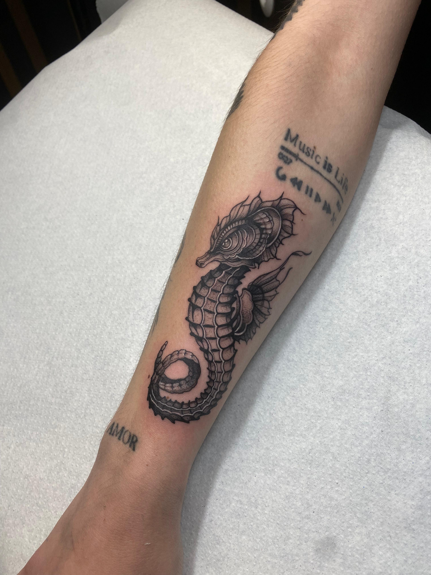 Tatuaje realizado en Melgr Tattoo Toro y Zamora — obra 29