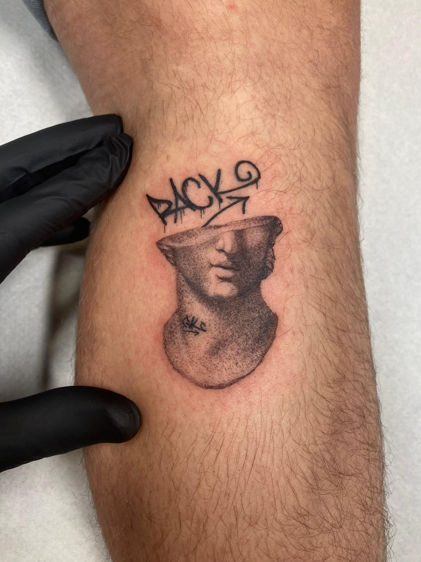 Tatuaje realizado en Melgr Tattoo Toro y Zamora — obra 21