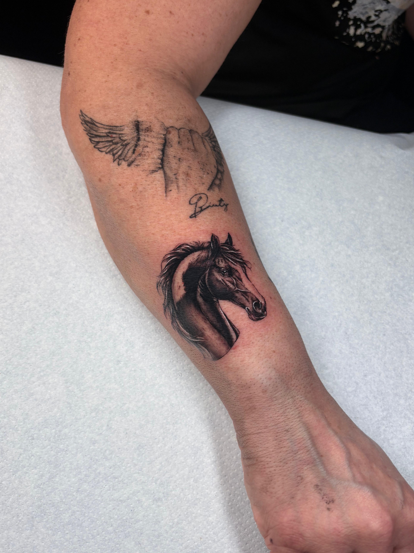 Tatuaje realizado en Melgr Tattoo Toro y Zamora — obra 24