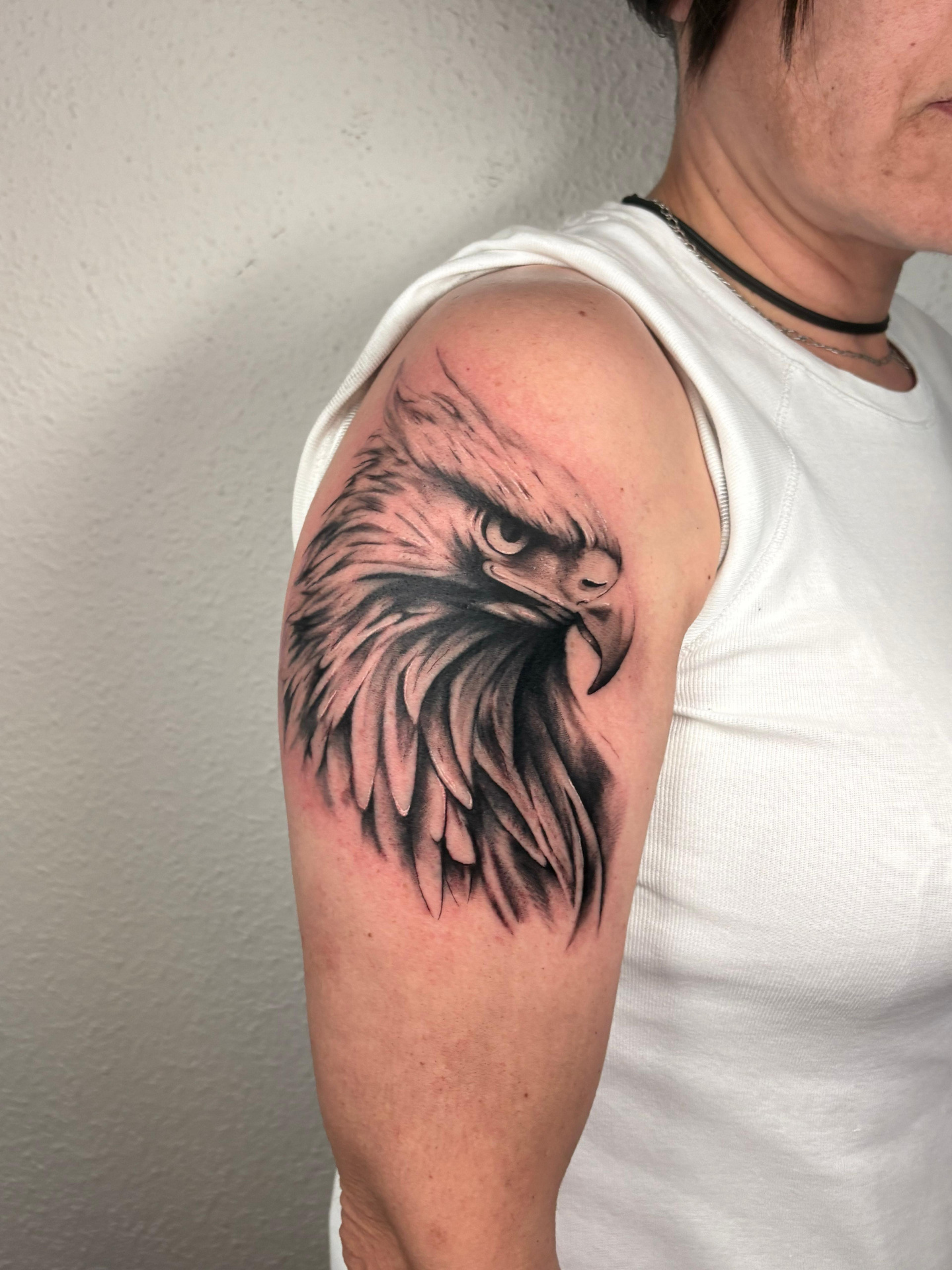 Águila