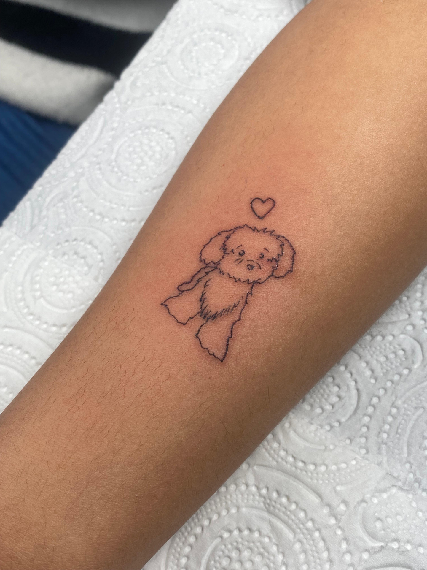 Tatuaje realizado en Melgr Tattoo Toro y Zamora — obra 15